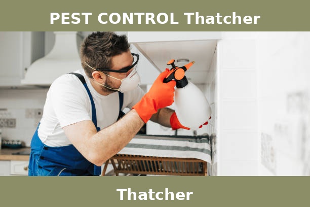 PEST CONTROL Thatcher